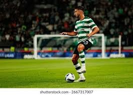 为什么高手下注反而更少？（高手为何出手更少？）